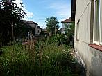 Třibřichy